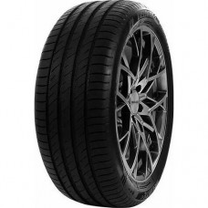 Летние шины 225/45 R17 Delinte DS2-RFT 91W