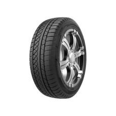 Шины 225/55 R19 Petlas Explero Winter W671 99H